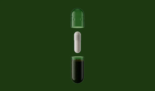 DS-01®  Daily Synbiotic